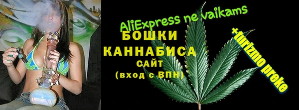 трава Лабытнанги